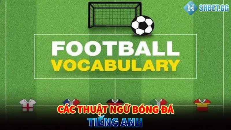 Thuật Ngữ Bóng Đá Là Gì? 5 Loại Thuật Ngữ Phổ Biến Nhất 2023 3 Các thuật ngữ bóng đá tiếng Anh