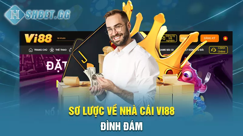 Nhà cái Vi88 - Không gian xanh chín chất lượng hàng đầu 3 Sơ lược về nhà cái Vi88 đình đám