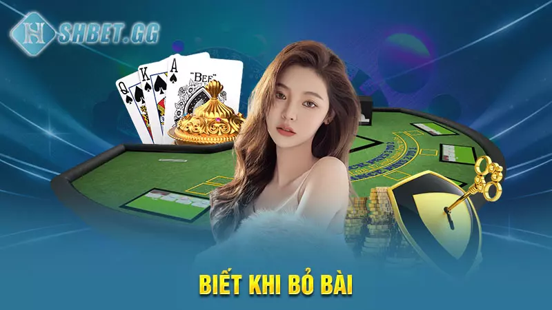 Giải đáp chi tiết thắc mắc: Thùng với Cù Lũ cái nào hơn? 7 Biết khi bỏ bài