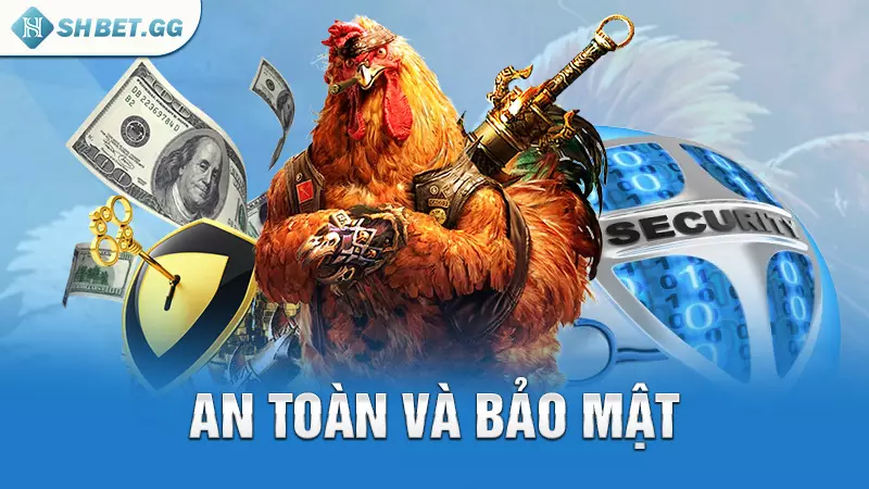 Chọi gà rừng là gì và bí quyết cược luôn thắng 5 An toàn và bảo mật